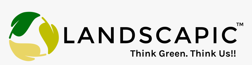 Graphics, HD Png Download