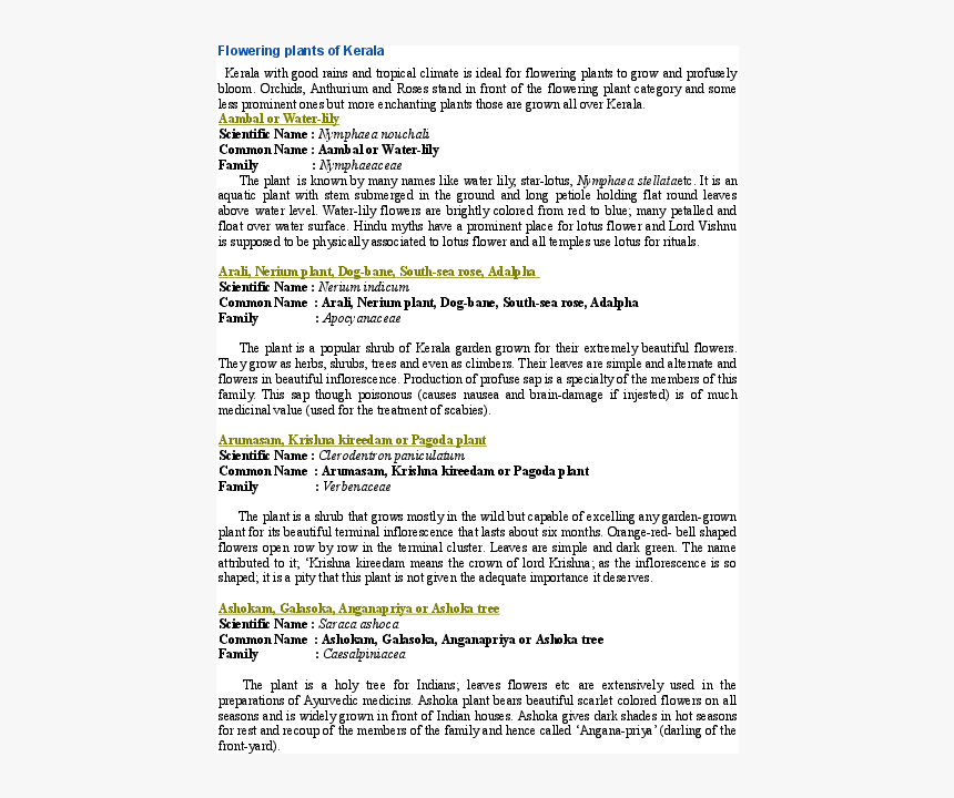 Document, HD Png Download