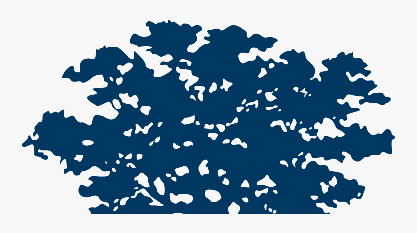 Ashoka Logo, HD Png Download