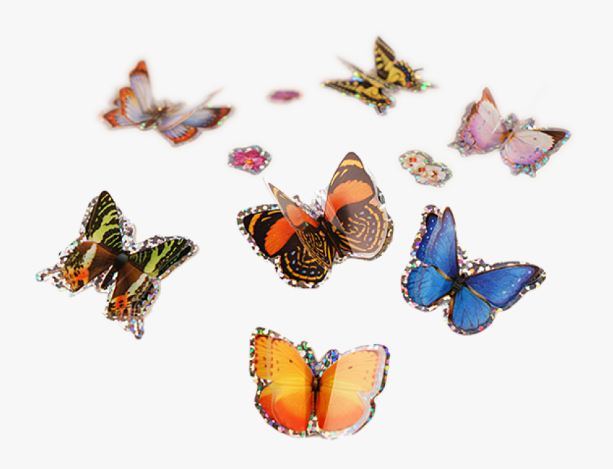 Monarch Butterfly, HD Png Download