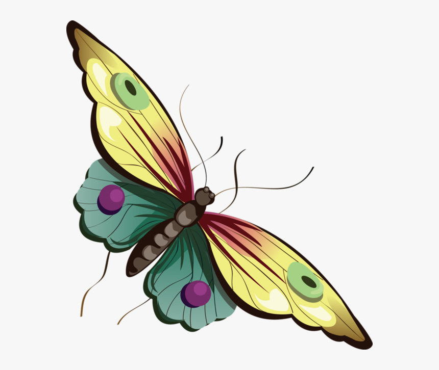 Butterfly With Background Cartoon, HD Png Download