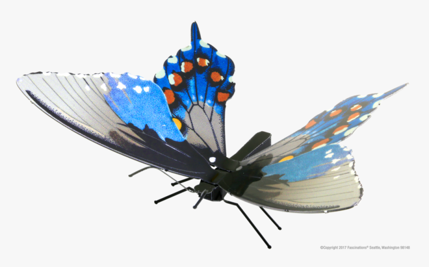 Swallowtail Butterfly, HD Png Download