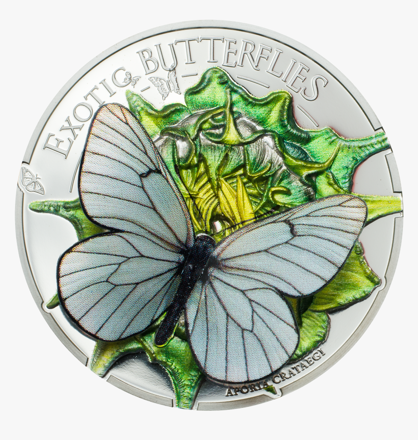 Aporia Crataegi Butterfly 3d Silver Coin 500 Togrog - 3d Mince Vyrocie, HD Png Download