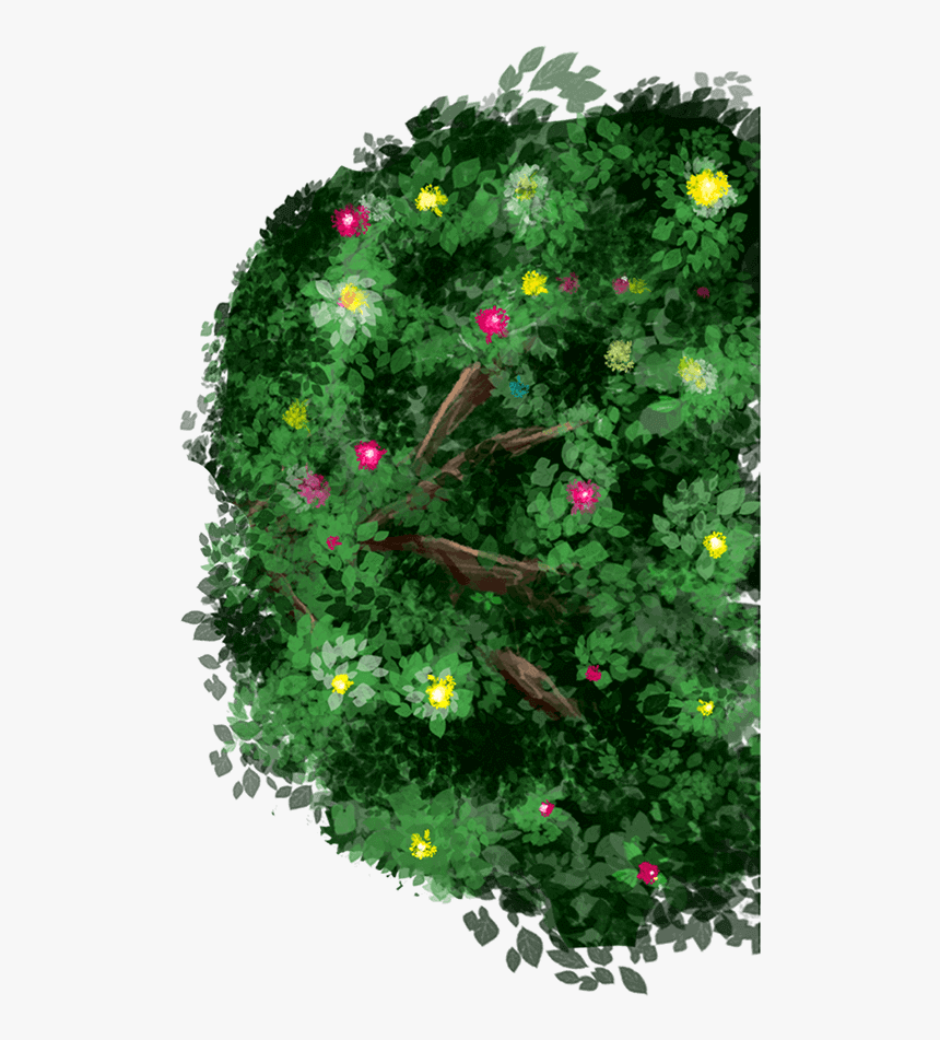 Grass - African Daisy, HD Png Download