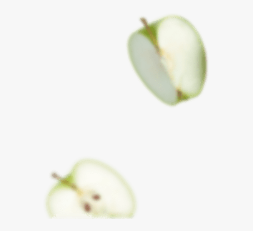 Macro Photography, HD Png Download