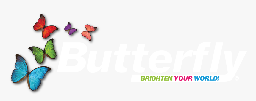 Butterfly-logo White - Butterfly Logo Png, Transparent Png