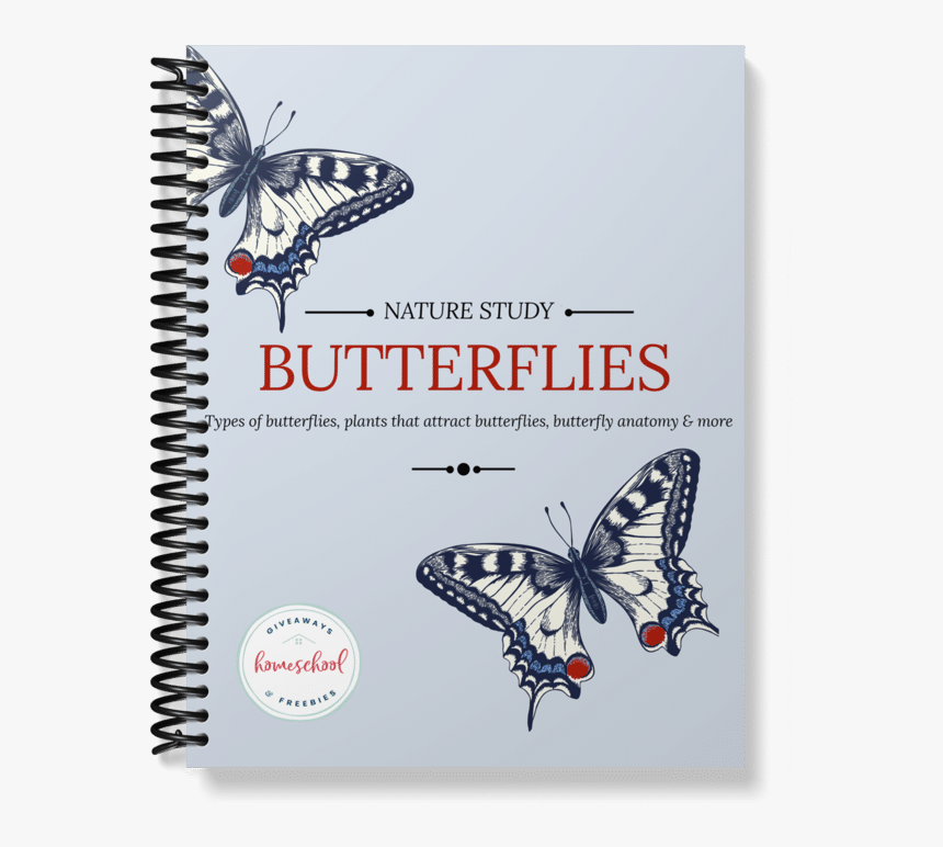 Papilio Machaon, HD Png Download