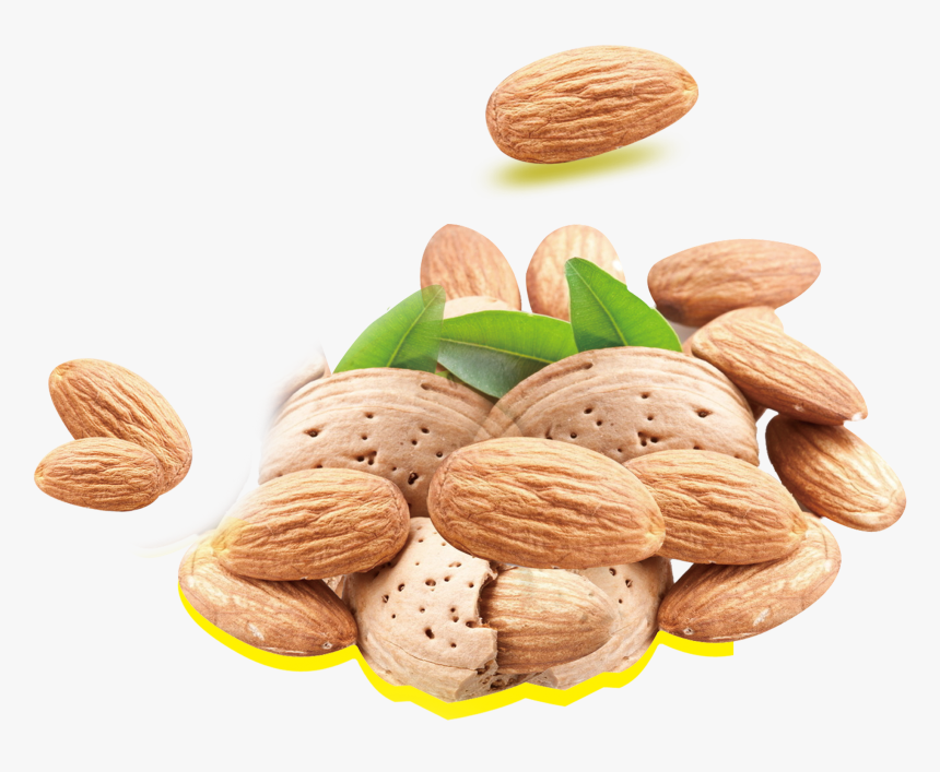 Almond Milk Nutrient Nutrition Fat Nuts - Hanh Nhan, HD Png Download