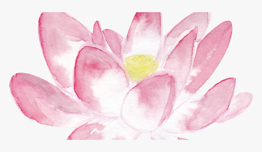 Sacred Lotus, HD Png Download