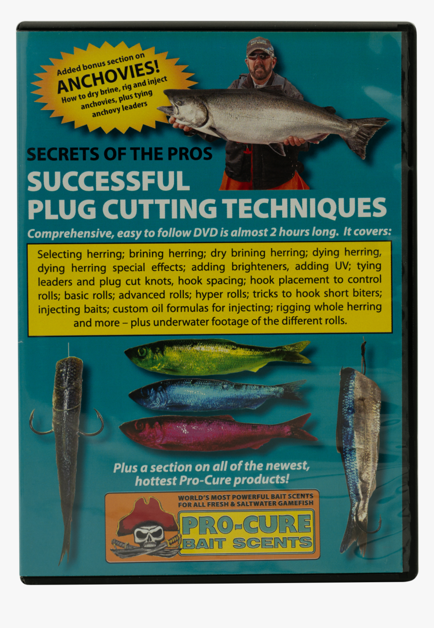 Shark, HD Png Download