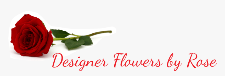 Designer Flowers By Rose - Garden Roses, HD Png Download