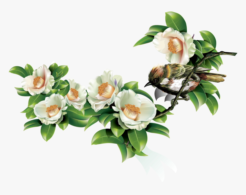 Green Leaves And Birds In Spring - Clip Art, HD Png Download