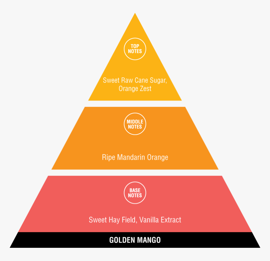 Peak Performance Coach, HD Png Download