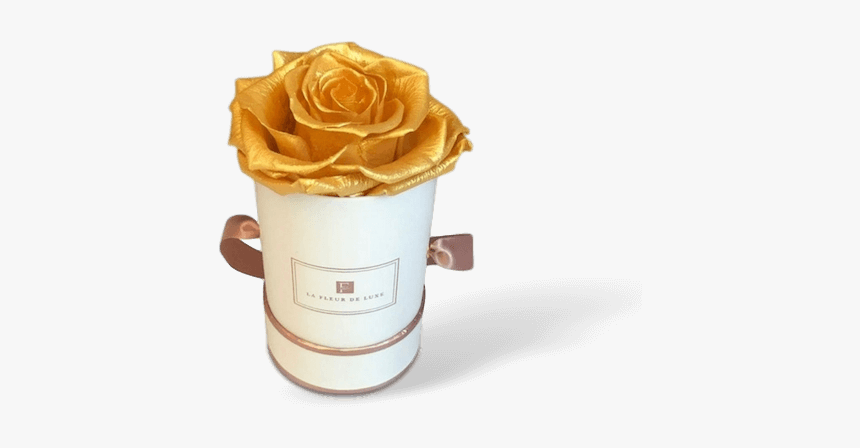 Garden Roses, HD Png Download