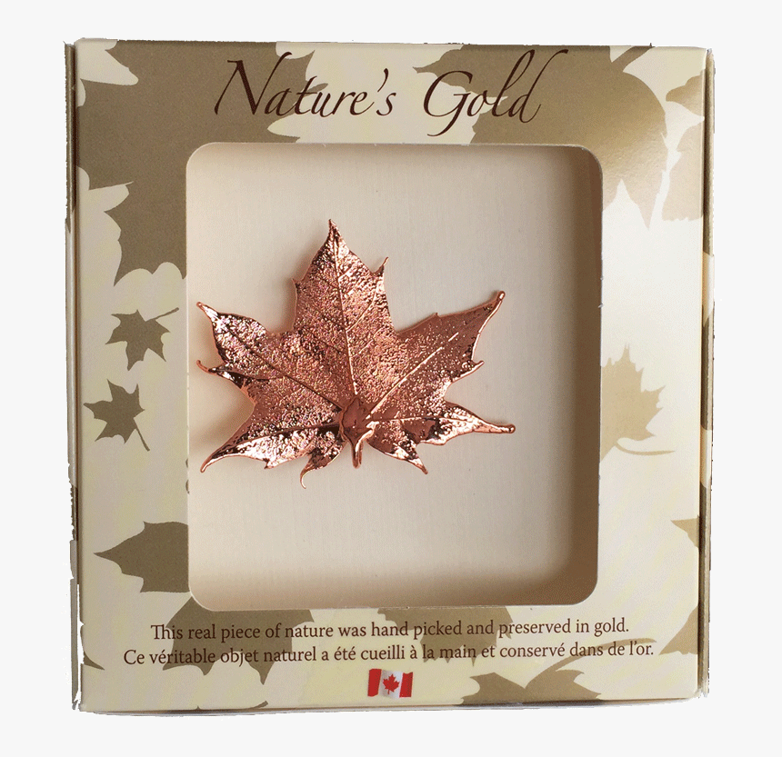 Copper Dipped Maple Leaf, HD Png Download