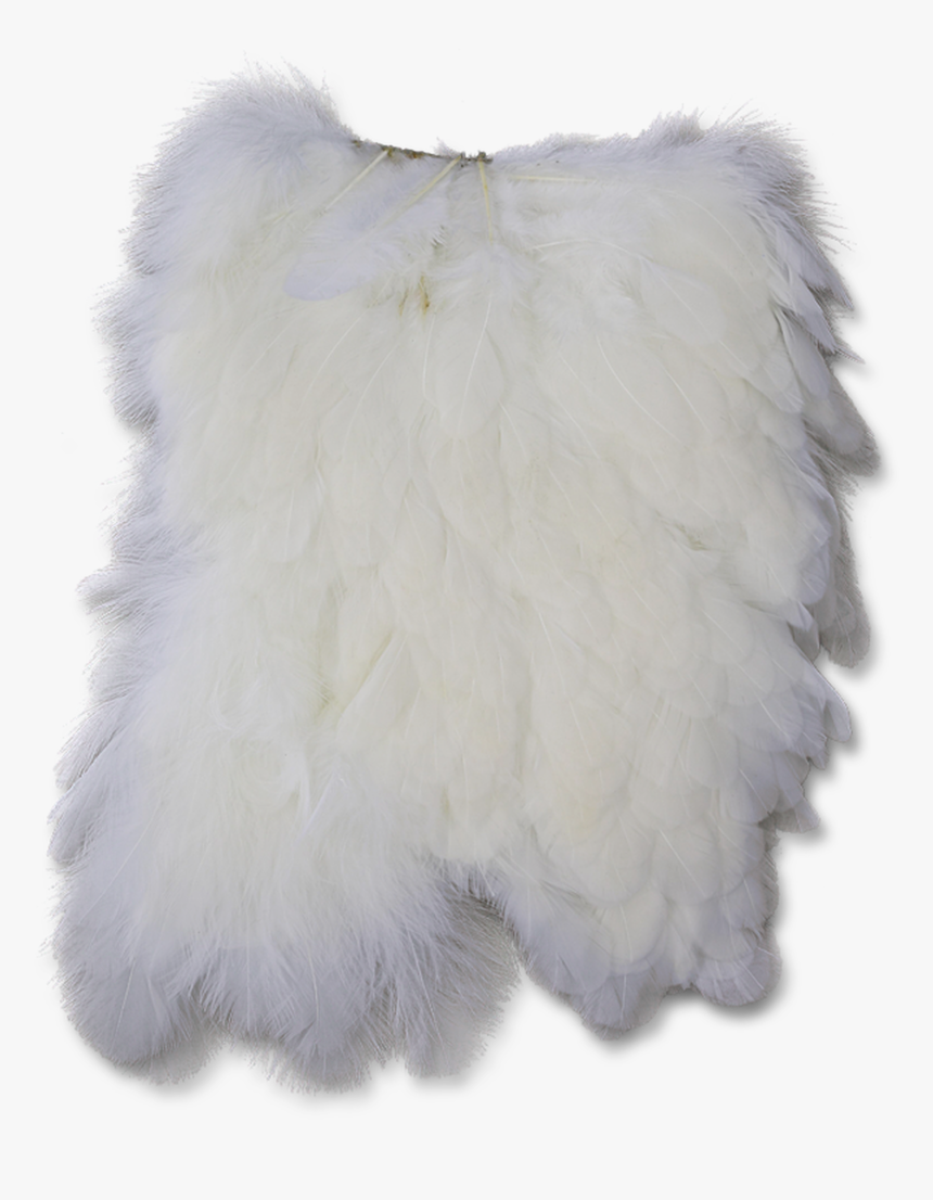 Hen Saddle - White, HD Png Download