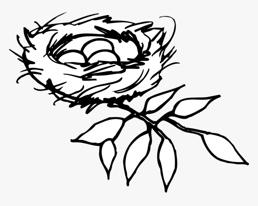 Nest Clipart Png, Transparent Png