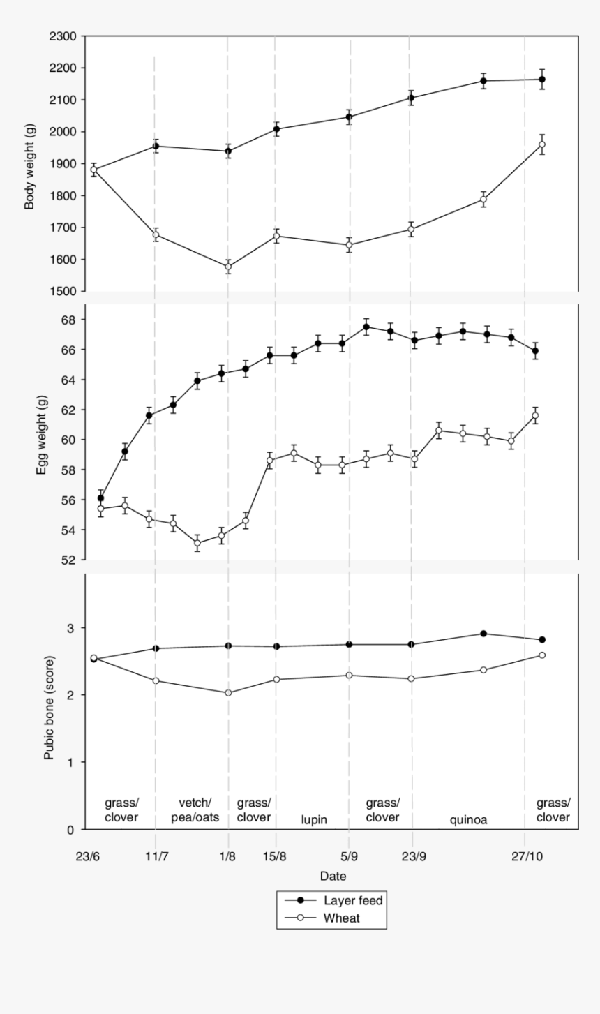 Diagram, HD Png Download