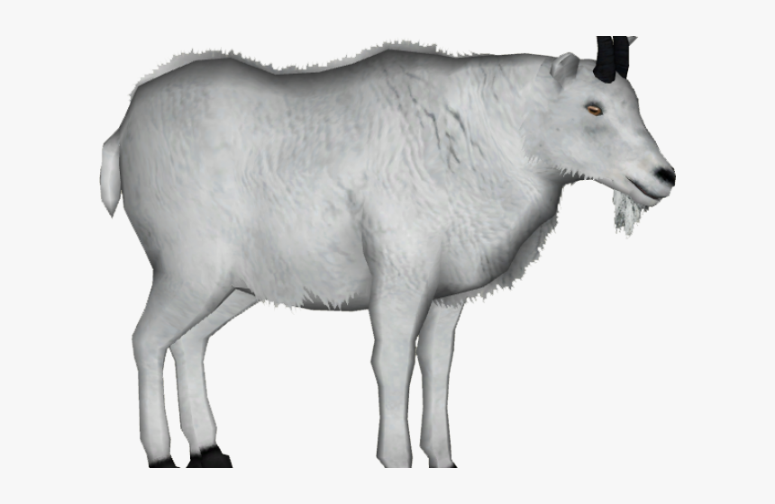 Mountain Goat Transparent Background, HD Png Download