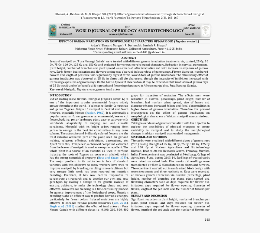 Document, HD Png Download