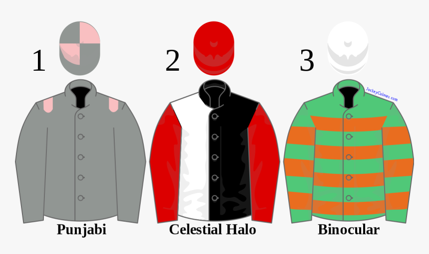Cardigan, HD Png Download