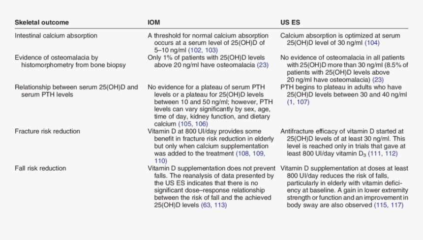 Endocrine Society Vitamin D, HD Png Download
