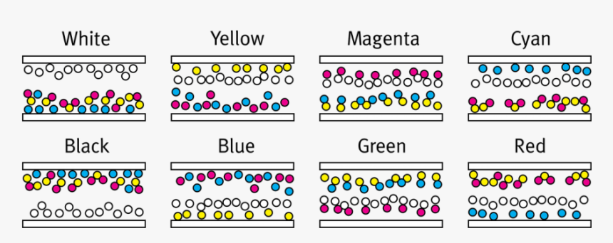 Color Paper Png, Transparent Png