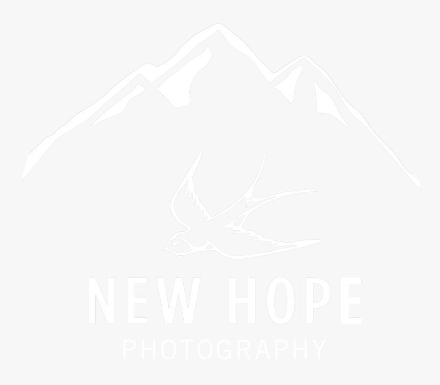 Wedding Honeymoon Weddings In The Wild New - Graphic Design, HD Png Download