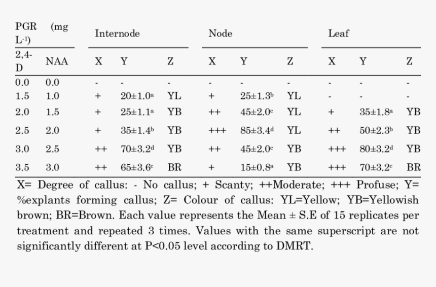 Document, HD Png Download