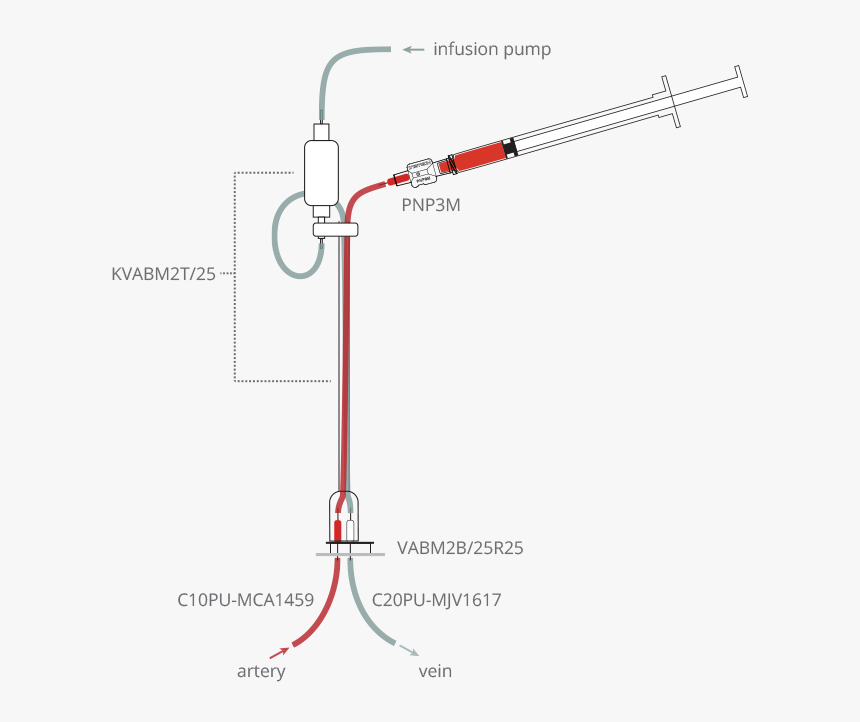 Diagram, HD Png Download