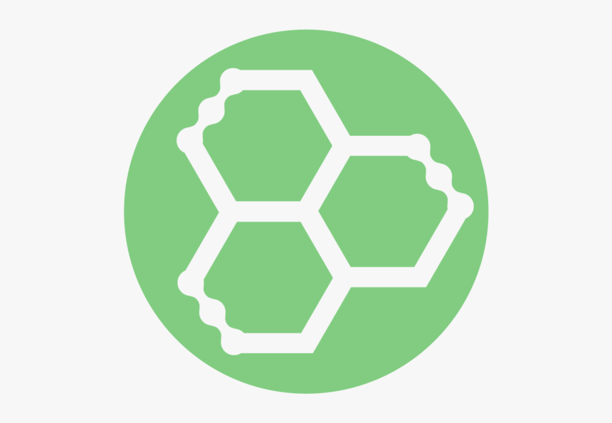 Thyroid Basic 

 
 Data Rimg Lazy 
 Data Rimg Scale - Rudis Wrestling A Way Of Life, HD Png Download