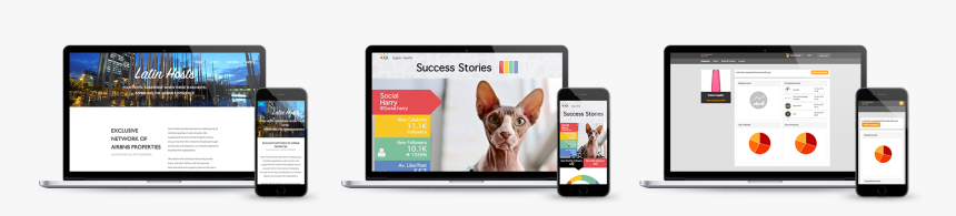 Banner Resposive Sites - Sphynx, HD Png Download