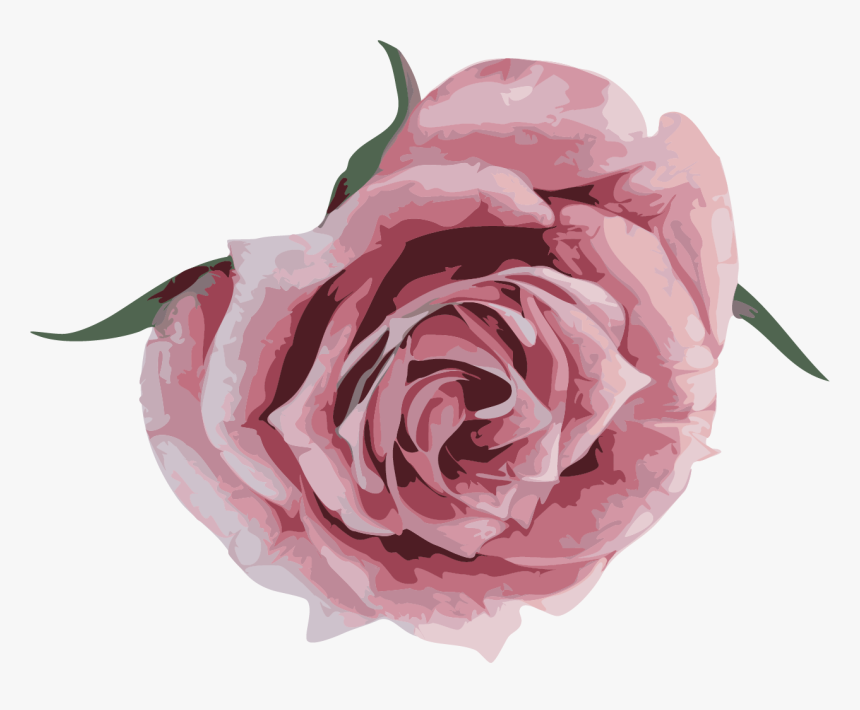 Floribunda, HD Png Download