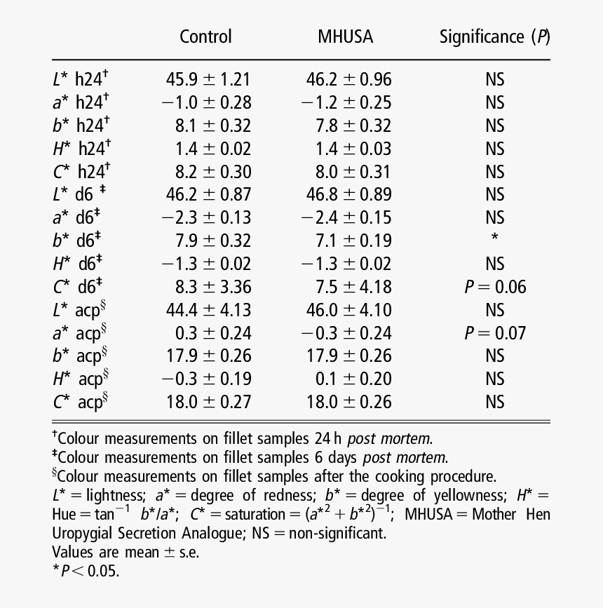 Document, HD Png Download