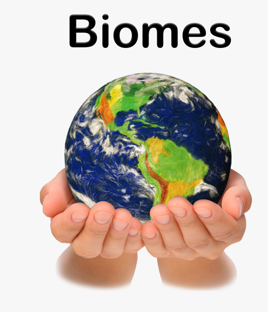 Stacks Image - Two Hands Holding A Globe, HD Png Download
