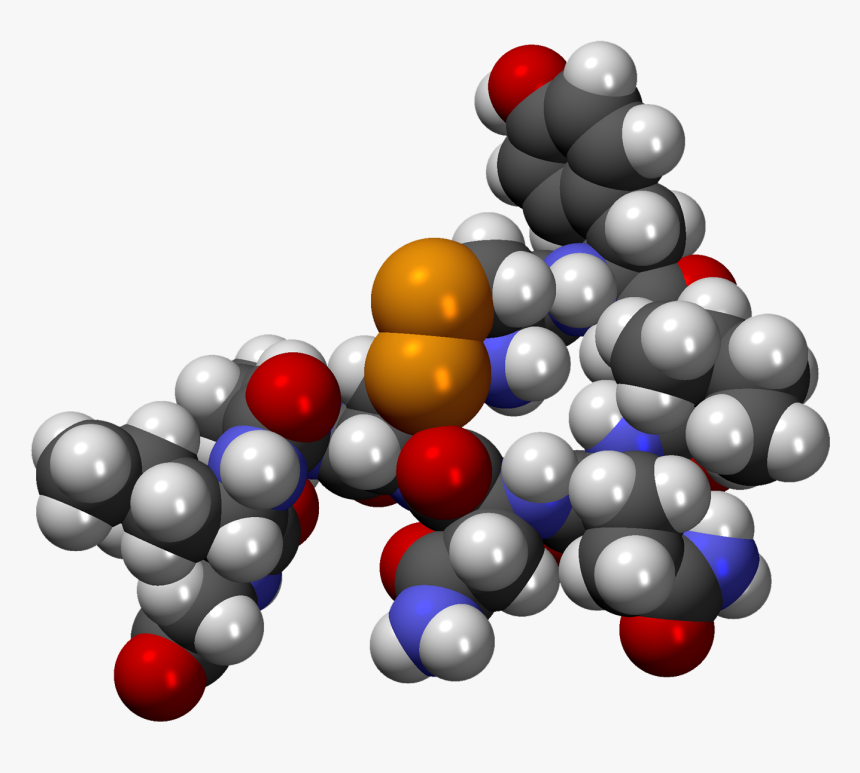 File - Oxitocinacpk3d - Oxytocin Molecule 3d, HD Png Download