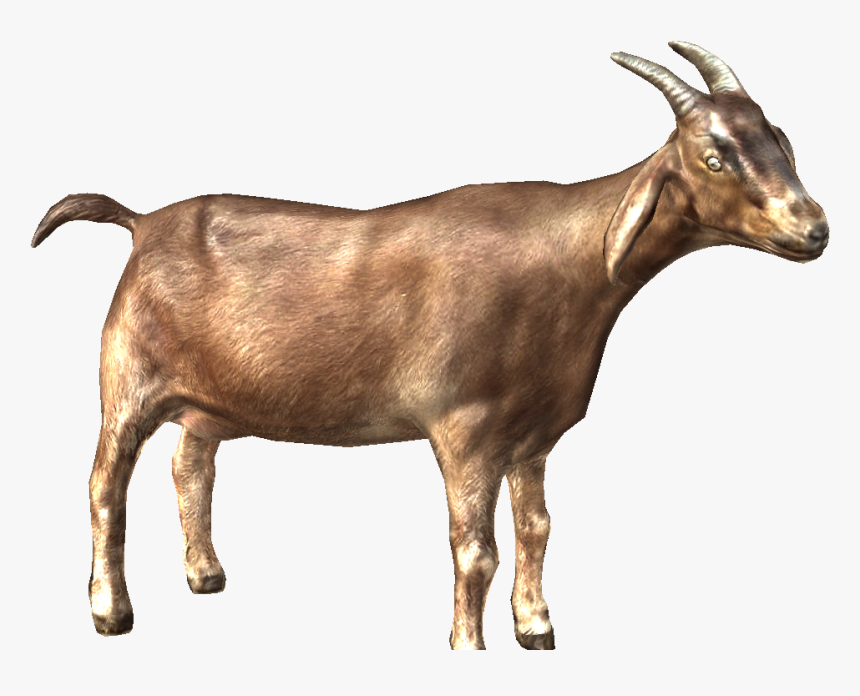 Cow Goat Image Png, Transparent Png