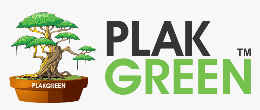 Flowerpot, HD Png Download