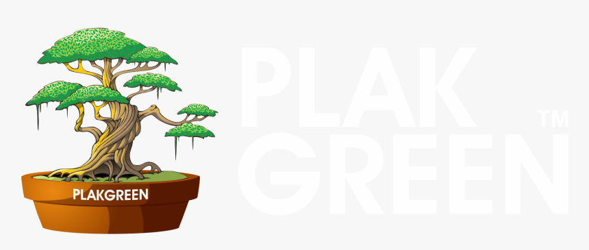 Fantasy Tree Clipart, HD Png Download