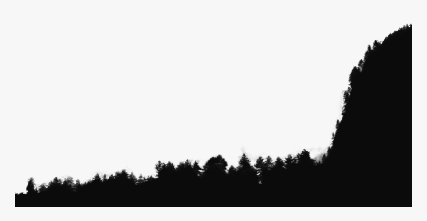 Trees - Canadian Fir, HD Png Download