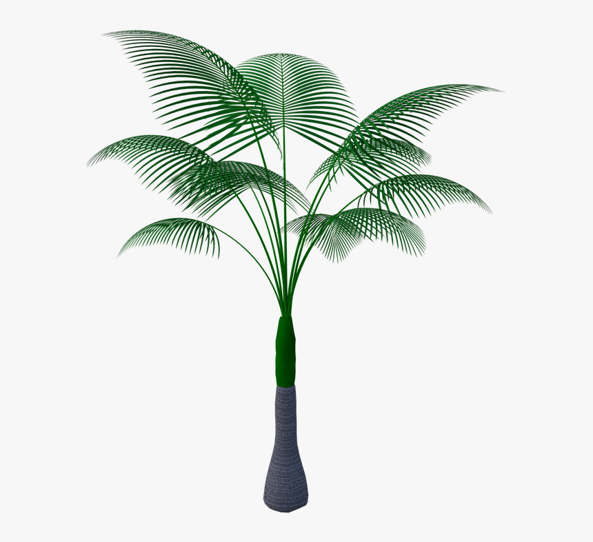 Tropical Plant Tree Green Nature Bloom Summer - Tropical Plant Pixabay Png, Transparent Png