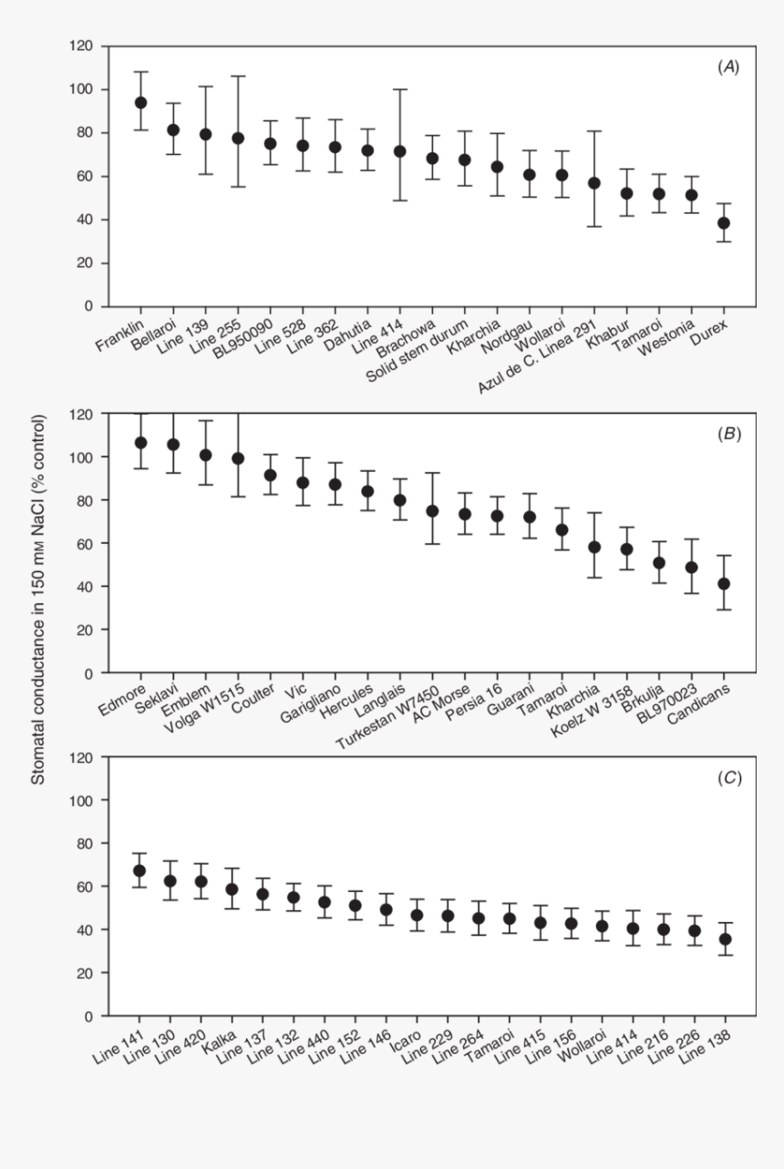 Document, HD Png Download