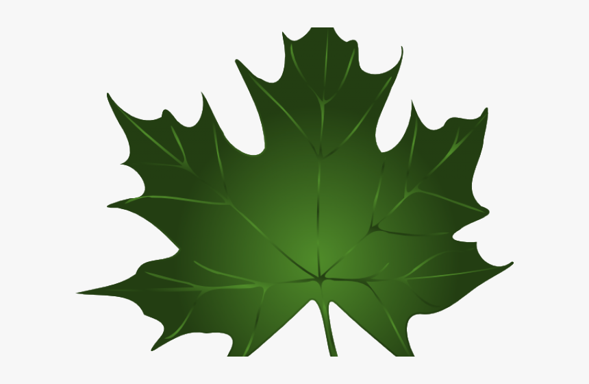 Maple Leaf Cliparts - Green Fall Leaves Clip Art, HD Png Download