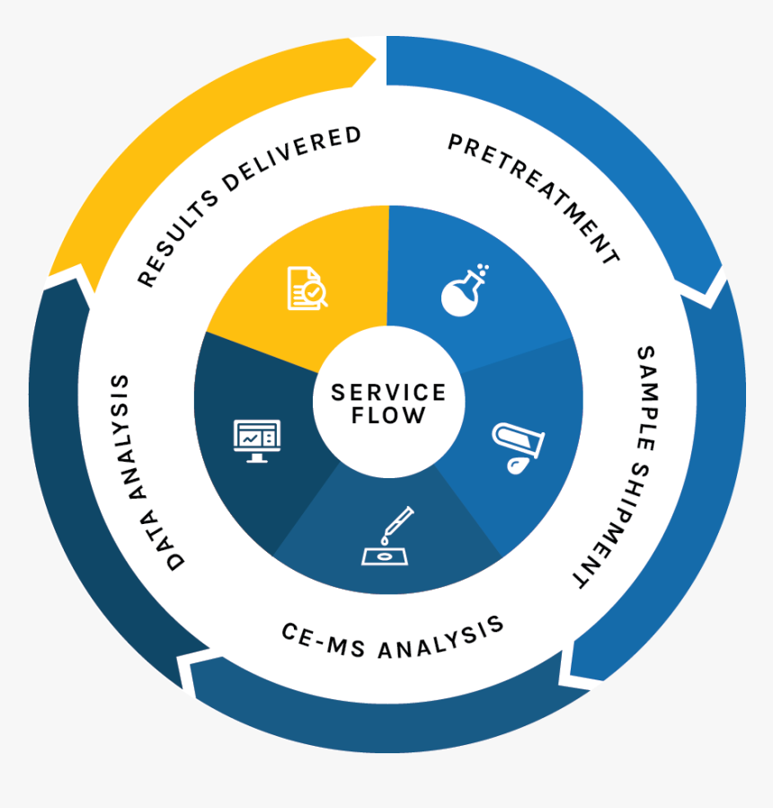 Circle, HD Png Download