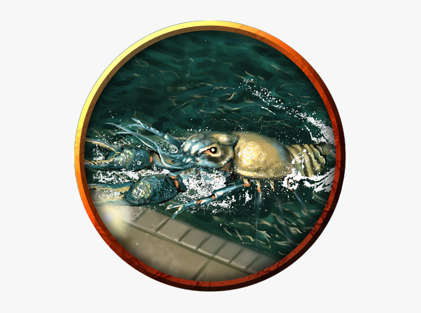 Blowfish, HD Png Download