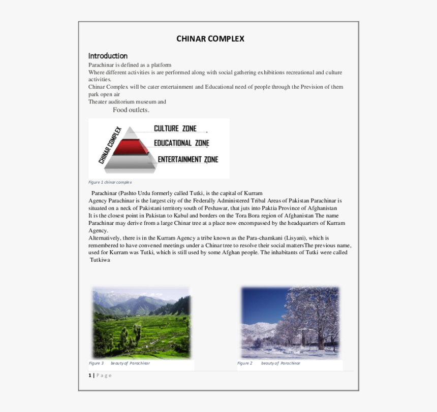 Tree, HD Png Download