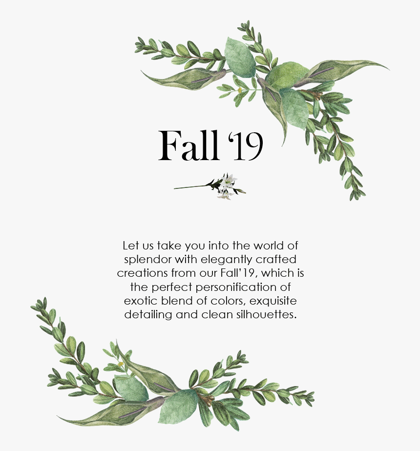 Botanical Frame Png, Transparent Png