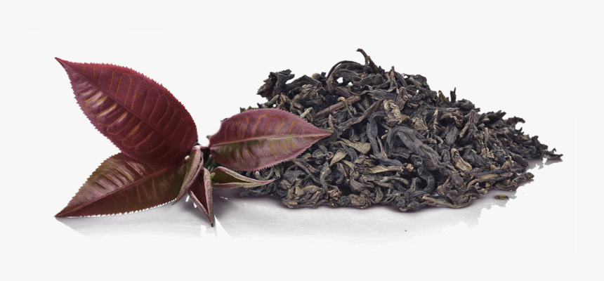 Purple Tea Leaves Png, Transparent Png