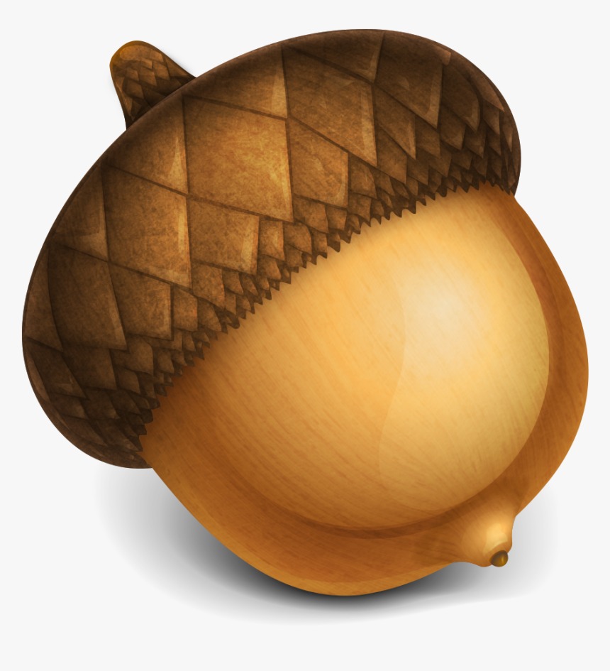 Transparent Background Acorn Clipart, HD Png Download