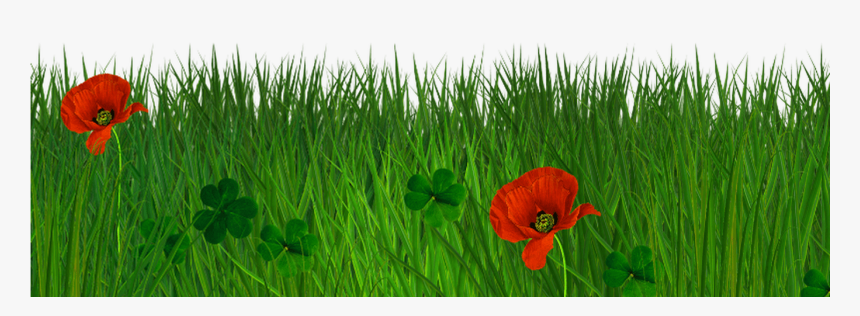 Free Transparent Grass Texture Seamless Png - Transparent Grass Border, Png Download